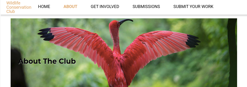 wildlife conservation club website